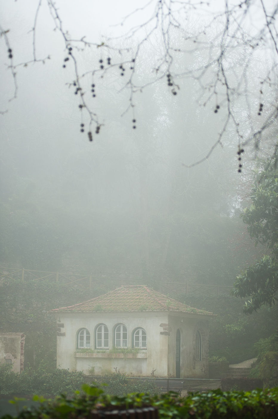 Foto Sessão fotográfica em Sintra Foto Sessão fotográfica em Sintra - Imagem 24