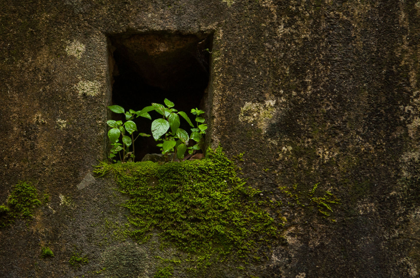 Foto Sessão fotográfica em Sintra Foto Sessão fotográfica em Sintra - Imagem 41
