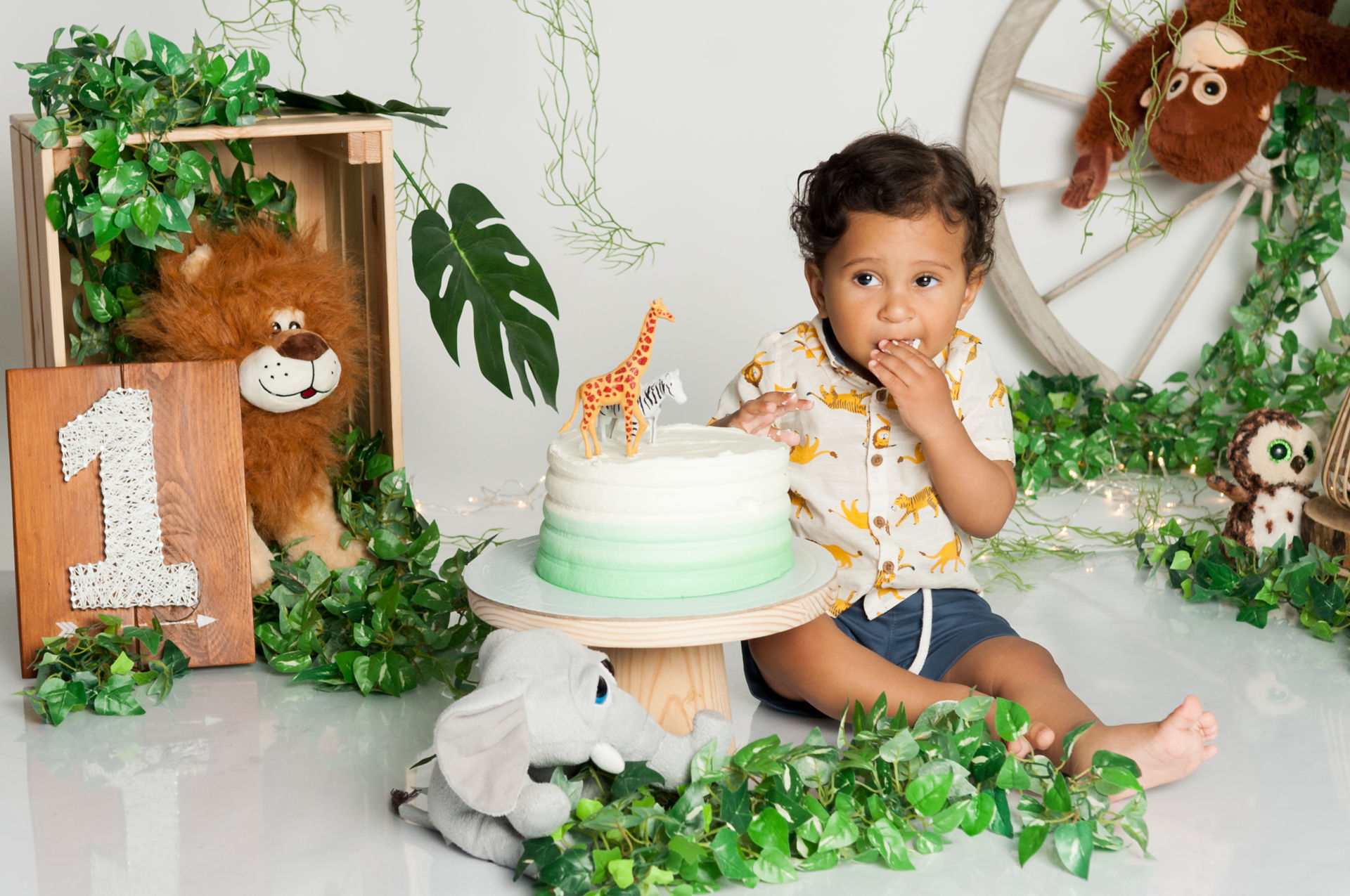 Foto Cake Smash Safari Foto Cake Smash Safari - Imagem 11