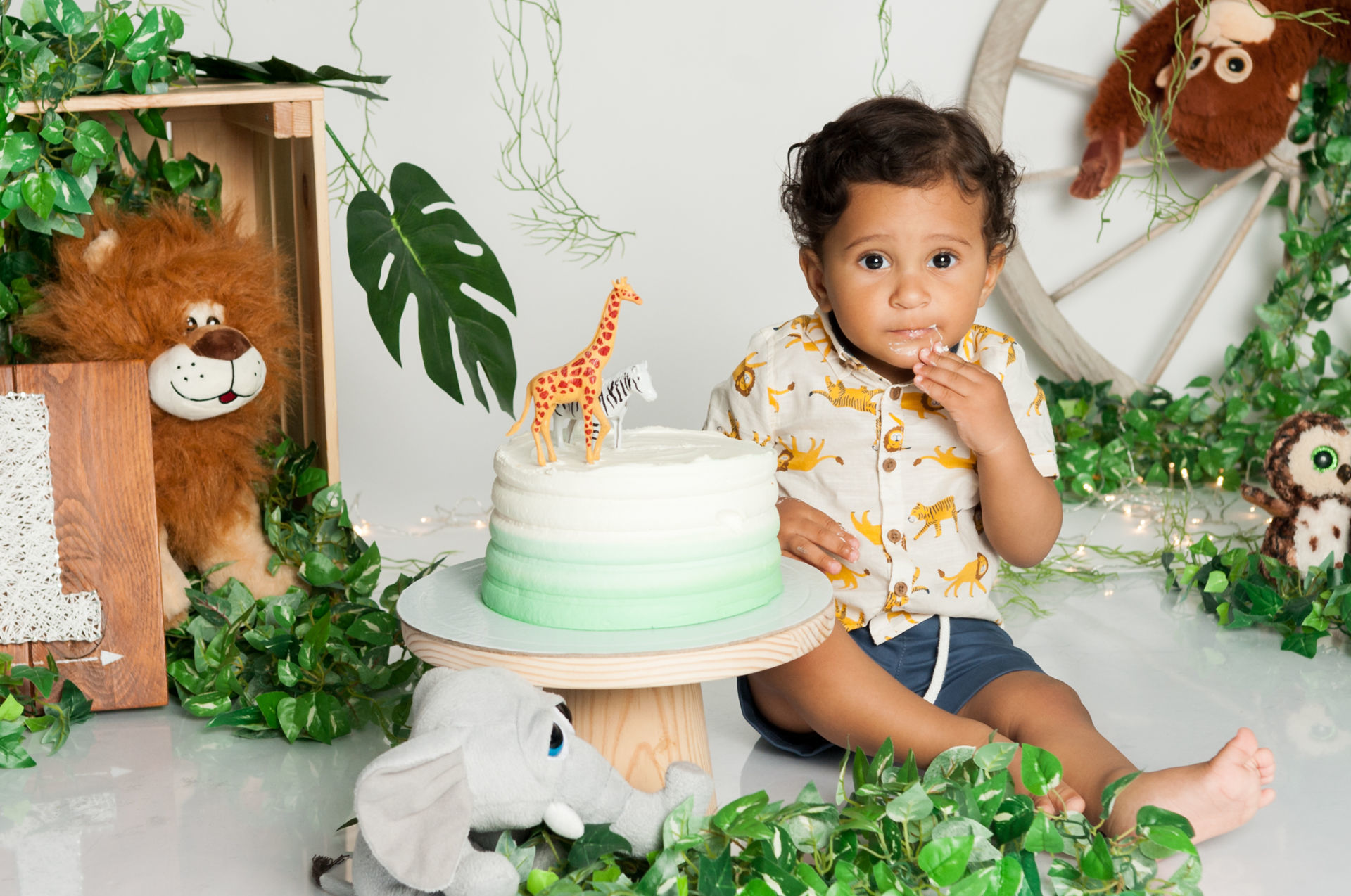 Foto Cake Smash Safari Foto Cake Smash Safari - Imagem 12