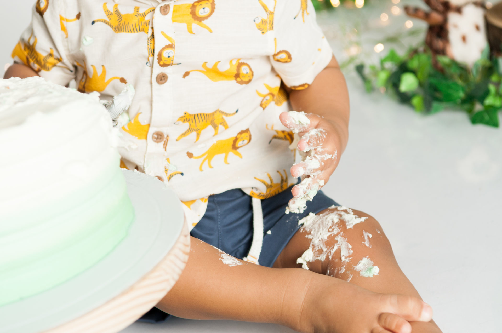 Foto Cake Smash Safari Foto Cake Smash Safari - Imagem 14